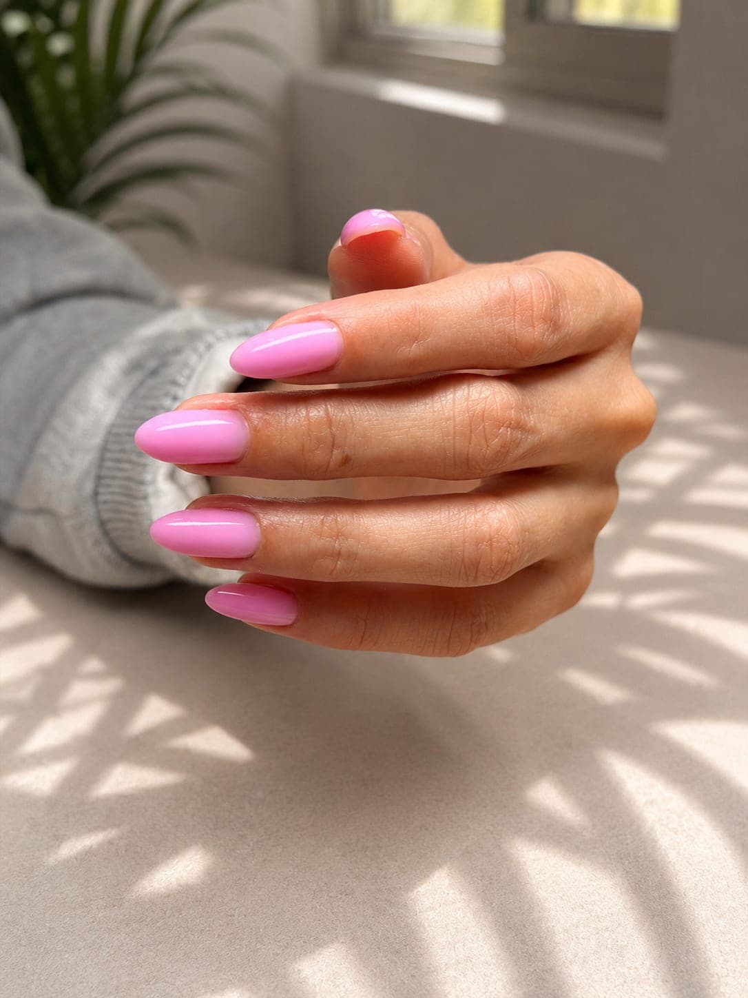 Pale pink manicure on almond nails by a sunlit window